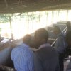 VISIT4